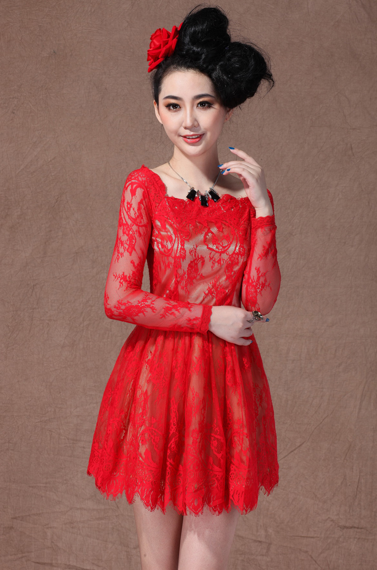 Long Sleeve Lace Flare Dress - Beautiful And Elegant